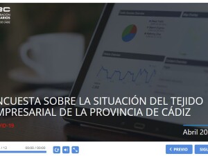 Rueda de prensa telemática para los empresarios de la provincia de Cádiz